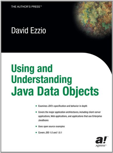 Using And Understanding Java Data Objects 1st Edition David Ezzio