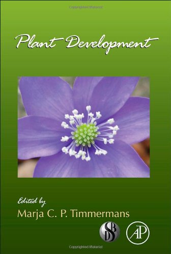 Plant Development 1st Edition Marja Cp Timmermans Eds