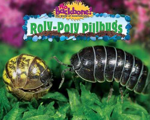 Rolypoly Pillbugs No Backbone The World Of Invertebrates Molly Smith
