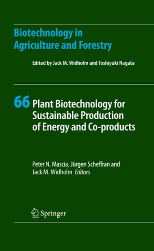 Plant Biotechnology For Sustainable Production Of Energy And Coproducts 1st Edition Charles E Wyman Auth