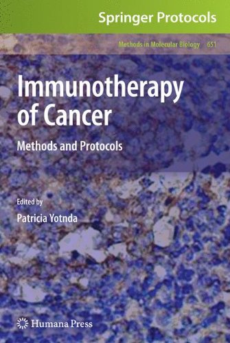 Immunotherapy Of Cancer Methods And Protocols 1st Edition Patricia Yotnda