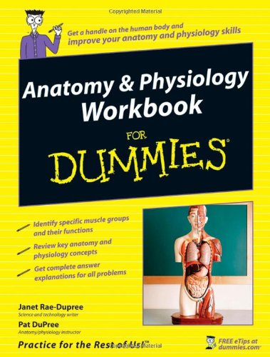 Anatomy Physiology Workbook For Dummies For Dummies Math Science 1st Edition Janet Raedupree