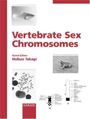 Vertebrate Sex Chromosomes Reprint Of Cytogenetic And Genome Research 2002 14 1st Edition Nobuo Takagi
