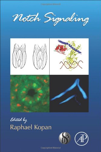 Notch Signaling 1st Edition Raphael Kopan Eds