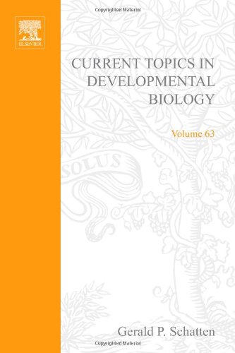 Current Topics In Developmental Biology 63 1st Edition Gerald P Schatten