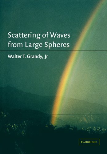 Scattering Of Waves From Large Spheres Digitally Printed 1st Pbk Version Walter T Grandy Jr