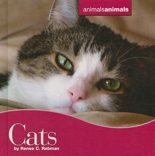 Cats Animals Animals Renee C Rebman
