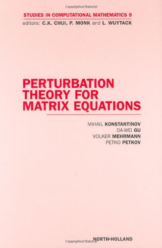 Perturbation Theory For Matrix Equations 1st Edition Ck Chui