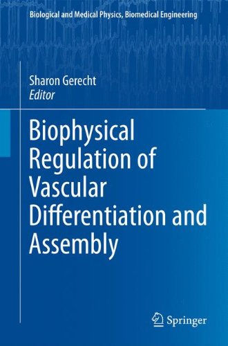 Biophysical Regulation Of Vascular Differentiation And Assembly 1st Edition Tiffany M Sills