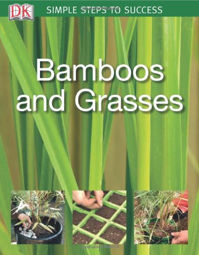 Bamboos And Grasses Simple Steps To Success Dk Publishing J Ardle