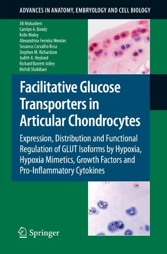 Facilitative Glucose Transporters In Articular Chondrocytes Expression Distribution And Functional Regulation Of Glut Isoforms By Hypoxia Hypoxia Mimetics 1st Edition Ali Mobasheri