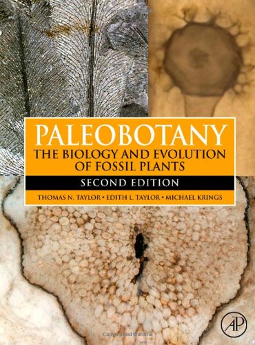 Paleobotany Second Edition The Biology And Evolution Of Fossil Plants 2nd Edition Thomas N Taylor