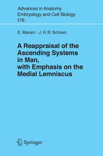A Reappraisal Of The Ascending Systems In Man With Emphasis On The Medial Lemniscus Advances In Anatomy Embryology And Cell Biology 1st Edition E Marani