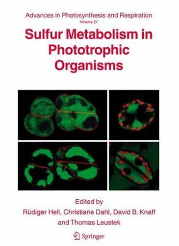 Sulfur Metabolism In Phototrophic Organisms 1st Edition Dr Christiane Dahl