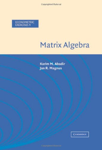 Matrix Algebra Econometric Exercises Karim M Abadir Jan R Magnus