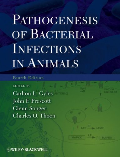 Pathogenesis Of Bacterial Infections In Animals Fourth Edition 4th Edition Carlton L Gyles