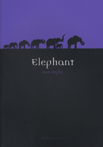 Elephant Dan Wylie