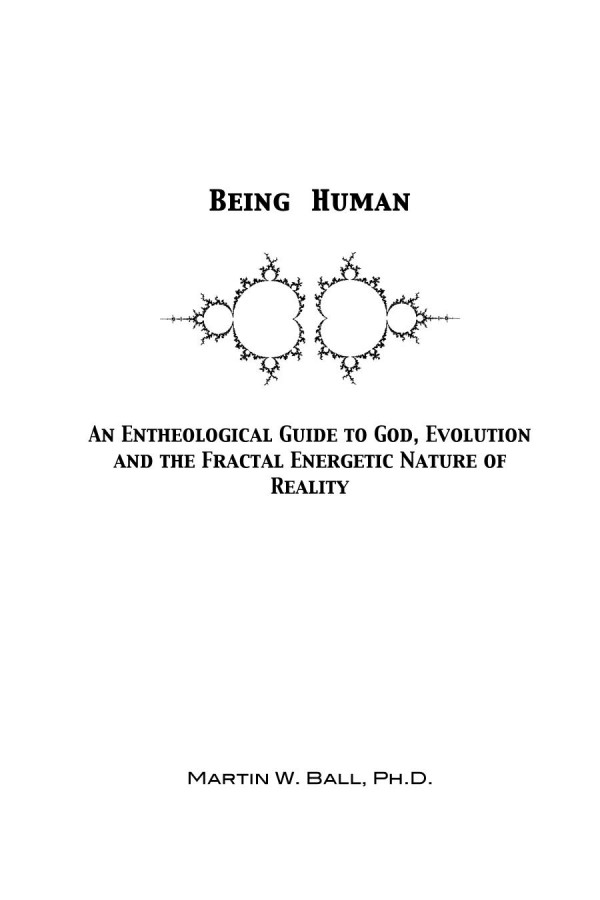 Being Human An Entheological Guide To God Evolution And The Fractal Energetic Nature Of Reality Martin W Ball