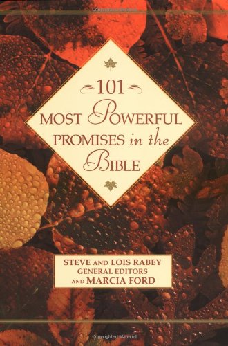 101 Most Powerful Promises In The Bible 101 Most Powerful Series Steve Rabey