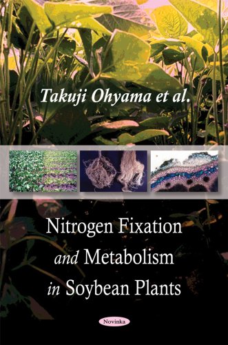 Nitrogen Fixation And Metabolism In Soybean Plants Takuji Ohyama