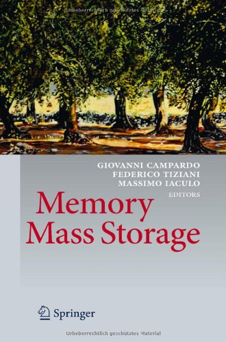 Memory Mass Storage 1st Edition Ernesto Bussola Auth Giovanni Campardo
