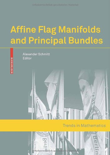 Affine Flag Manifolds And Principal Bundles 1st Edition Alexander Schmitt