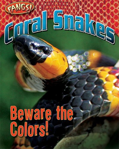 Coral Snakes Beware The Colors Fangs Nancy White
