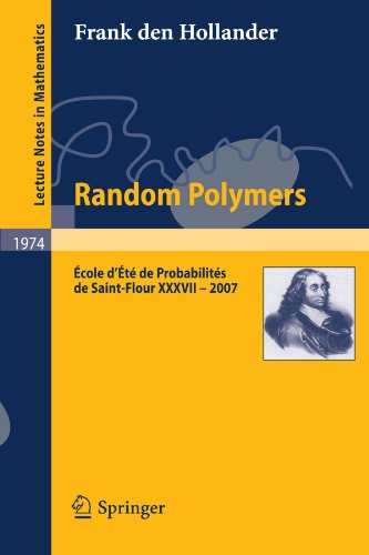 Random Polymers école Dété De Probabilités De Saintflour Xxxvii 2007 1st Edition Frank Hollander Auth
