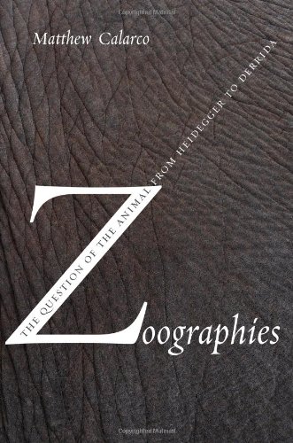 Zoographies The Question Of The Animal From Heidegger To Derrida Matthew Calarco