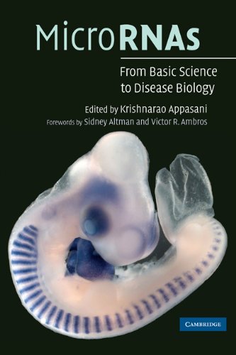 Micrornas Altman S Ambros Vr Appasani K Eds