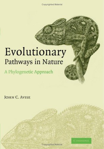 Evolutionary Pathways In Nature A Phylogenetic Approach Avise Jc