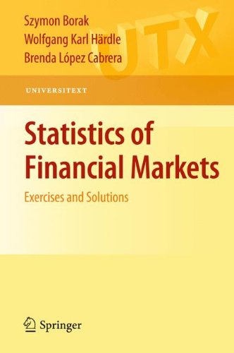 Statistics Of Financial Markets Exercises And Solutions Szymon Borak