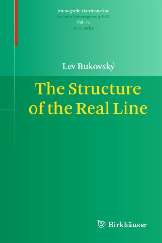 The Structure Of The Real Line 1st Edition Lev Bukovsk Auth