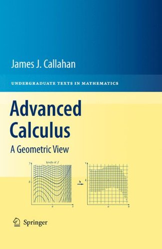 Advanced Calculus A Geometric View 1st Edition James J Callahan