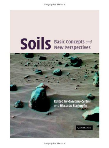 Soils Basic Concepts And Future Challenges Certini G Scalenghe R Eds