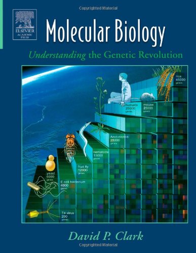 Molecular Biology Clark Dp