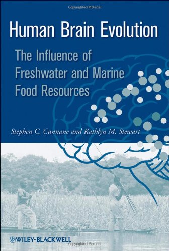 Human Brain Evolution The Influence Of Freshwater And Marine Food Resources Cunnane S