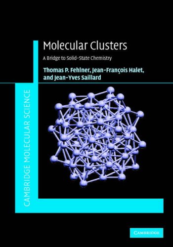 Molecular Clusters Fehlner T Halet Jf Saillard Jy
