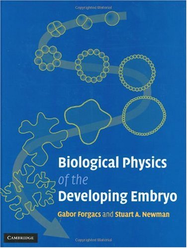 Biological Physics Of The Developing Embryo Forgacs G Newman Sa
