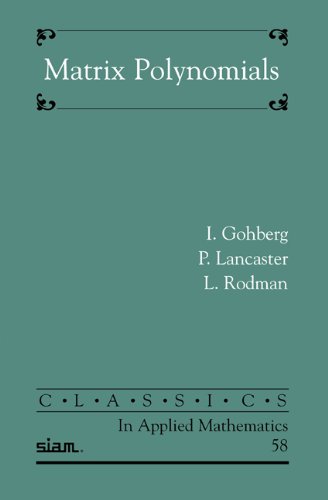 Matrix Polynomials Gohberg I Lancaster P Rodman L