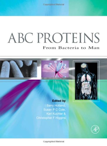 Abc Proteins From Bacteria To Man Holland Ib Et Al Eds