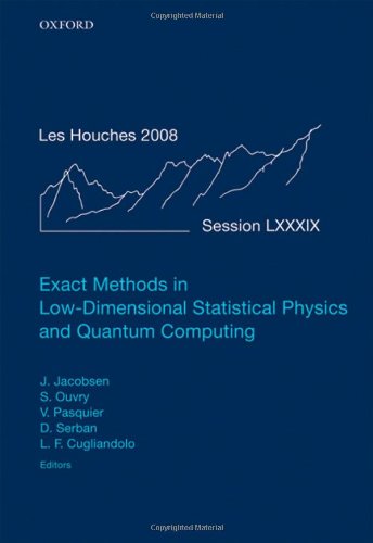 Exact Methods In Lowdimensional Statistical Physics And Quantum Computing Jacobsen J