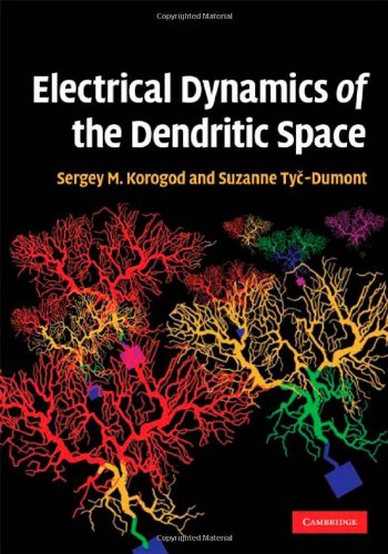 Electrical Dynamics Of The Dendritic Space Korogod Sm Tycdumont S