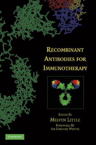 Recombinant Antibodies For Immunotherapy Little M Ed