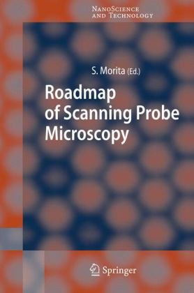 Roadmap Of Scanning Probe Microscopy Morita S Ed