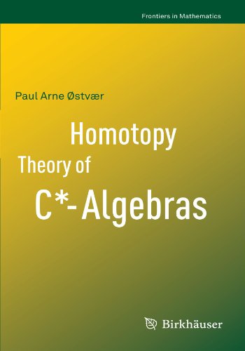 Homotopy Theory Of Calgebras 1st Edition Paul Arne Stvr Auth