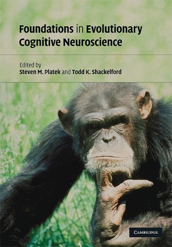 Foundations In Evolutionary Cognitive Neuroscience Platek Sm