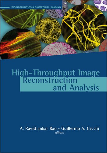 Highthroughput Image Reconstruction And Analysis Rao Ar Cecchi Ga Eds