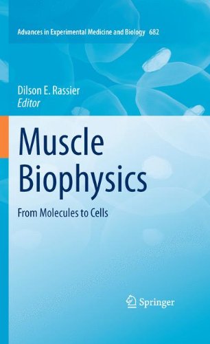 Muscle Biophysics From Molecules To Cells 1st Edition Dilson E Rassier Auth
