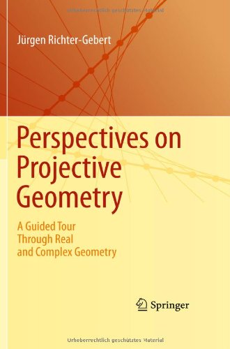 Perspectives On Projective Geometry A Guided Tour Through Real And Complex Geometry 1st Edition Jrgen Richtergebert Auth